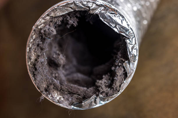 Best Best Air Duct Cleaning Company  in Wade, MS